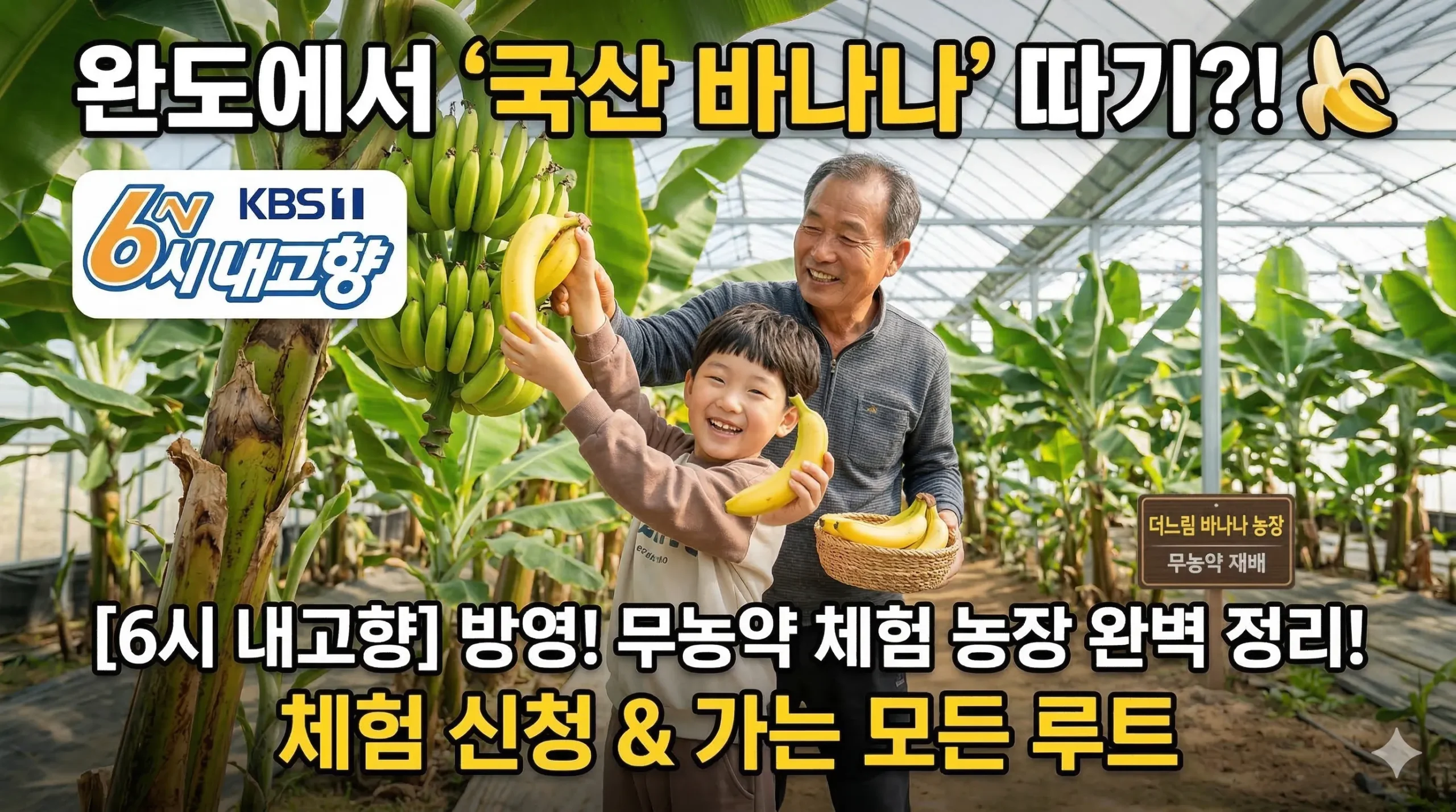 6시 내고향 바나나 따기 체험 썸네일