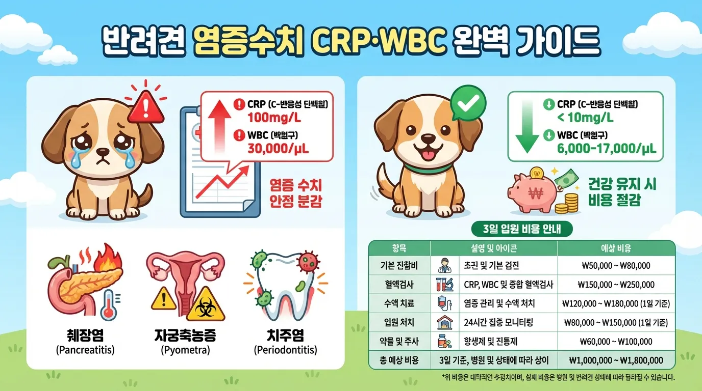 강아지 염증수치 원인 썸네일